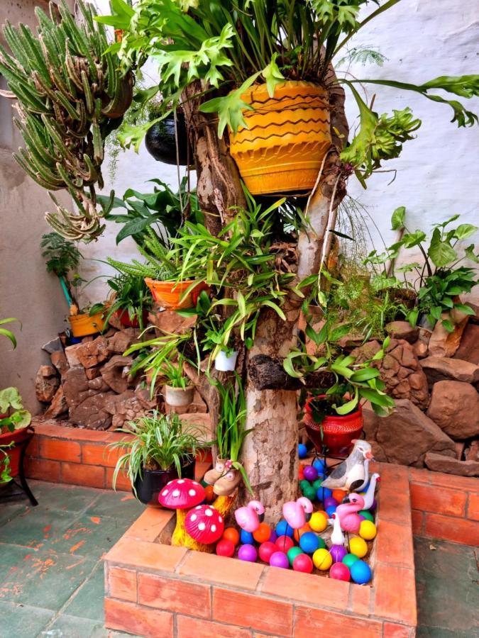 Hostal Jardin De Luque San Lorenzo Exterior photo